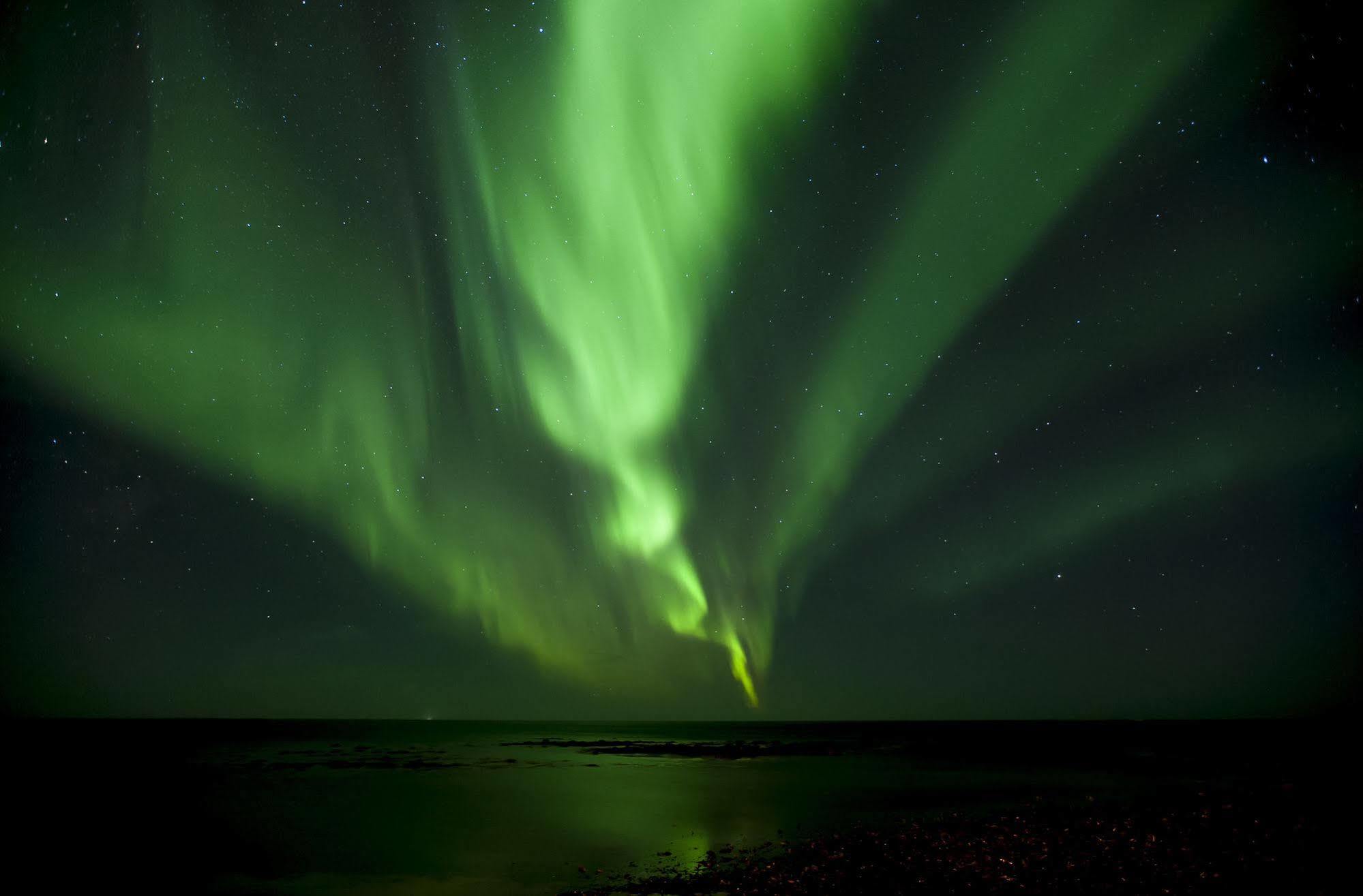 Tower Suites Reykjavík Eksteriør bilde